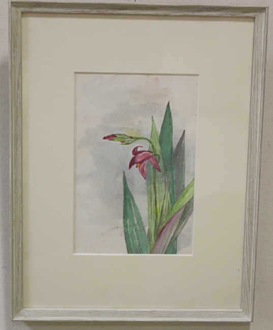 鈴木伸子植物画展