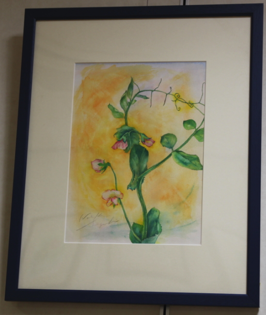 鈴木伸子植物画展