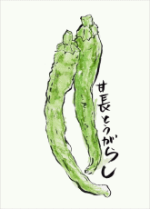 あまながとうがらし