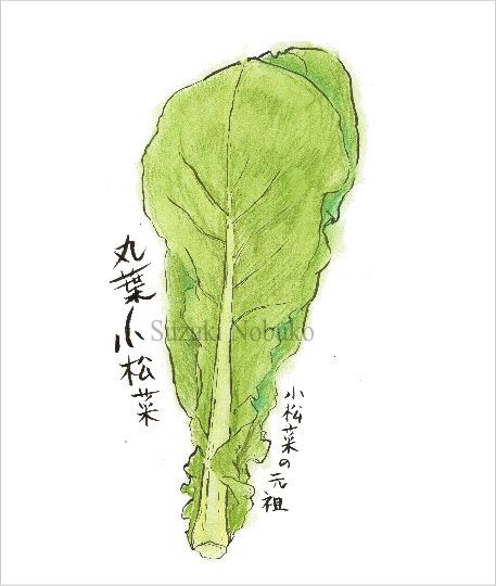 �ۗt������