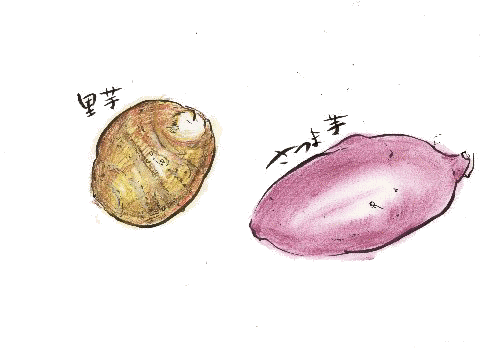 �����E�T�c�}�C��