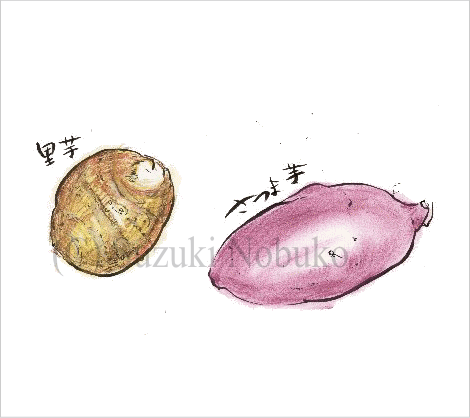 �����E�T�c�}�C��